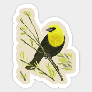 Yellow-headed Blackbird Sticker